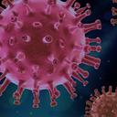 virus ga05e03810